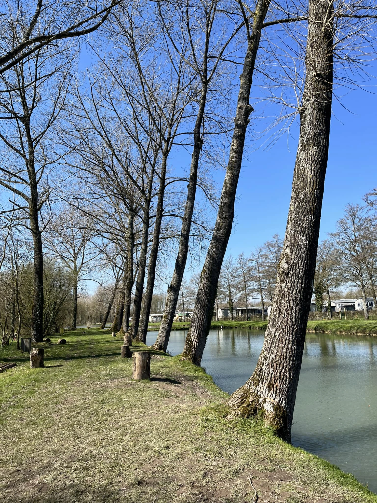 Photo de la vue sur les étangs